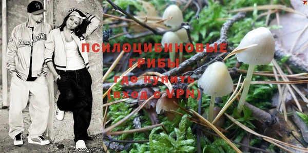 PSILOCYBIN Дмитровск