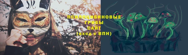 mdma Дмитриев