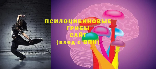 PSILOCYBIN Дмитровск