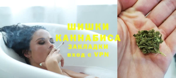 твердый Дмитров
