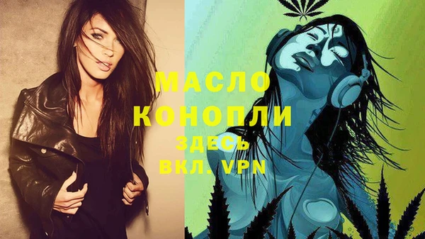 твердый Дмитров