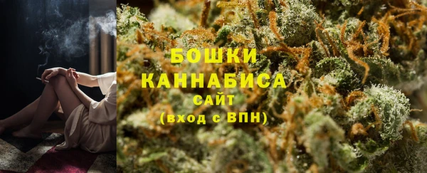 твердый Дмитров