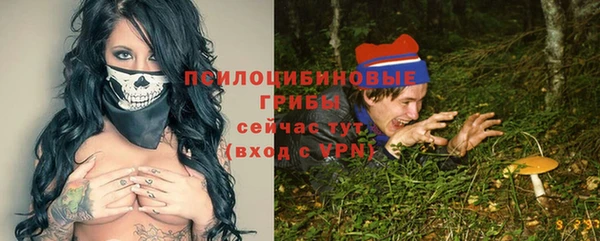 твердый Дмитров