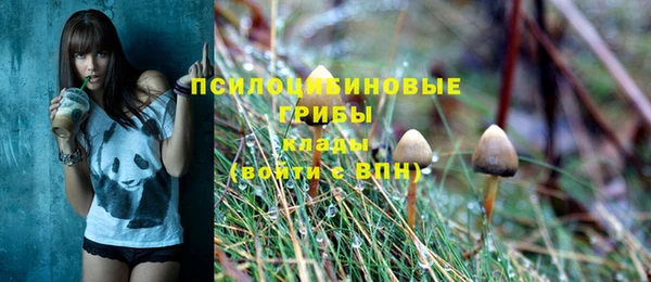 твердый Дмитров