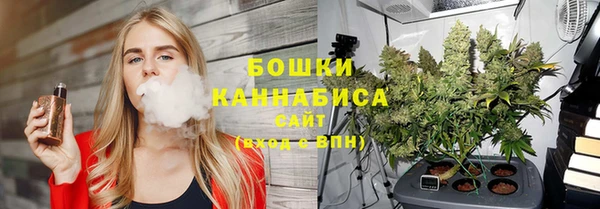 PSILOCYBIN Дмитровск