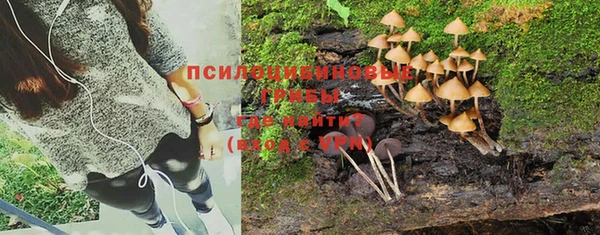 mdma Дмитриев