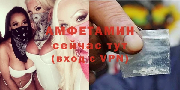 твердый Дмитров